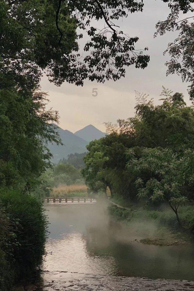 忍者鲨鱼