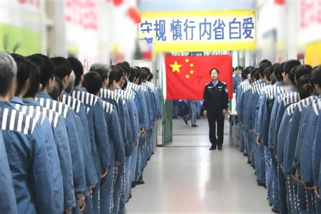 狮子通常都是群居生活，为何老虎通常都是独居？游戏画面
