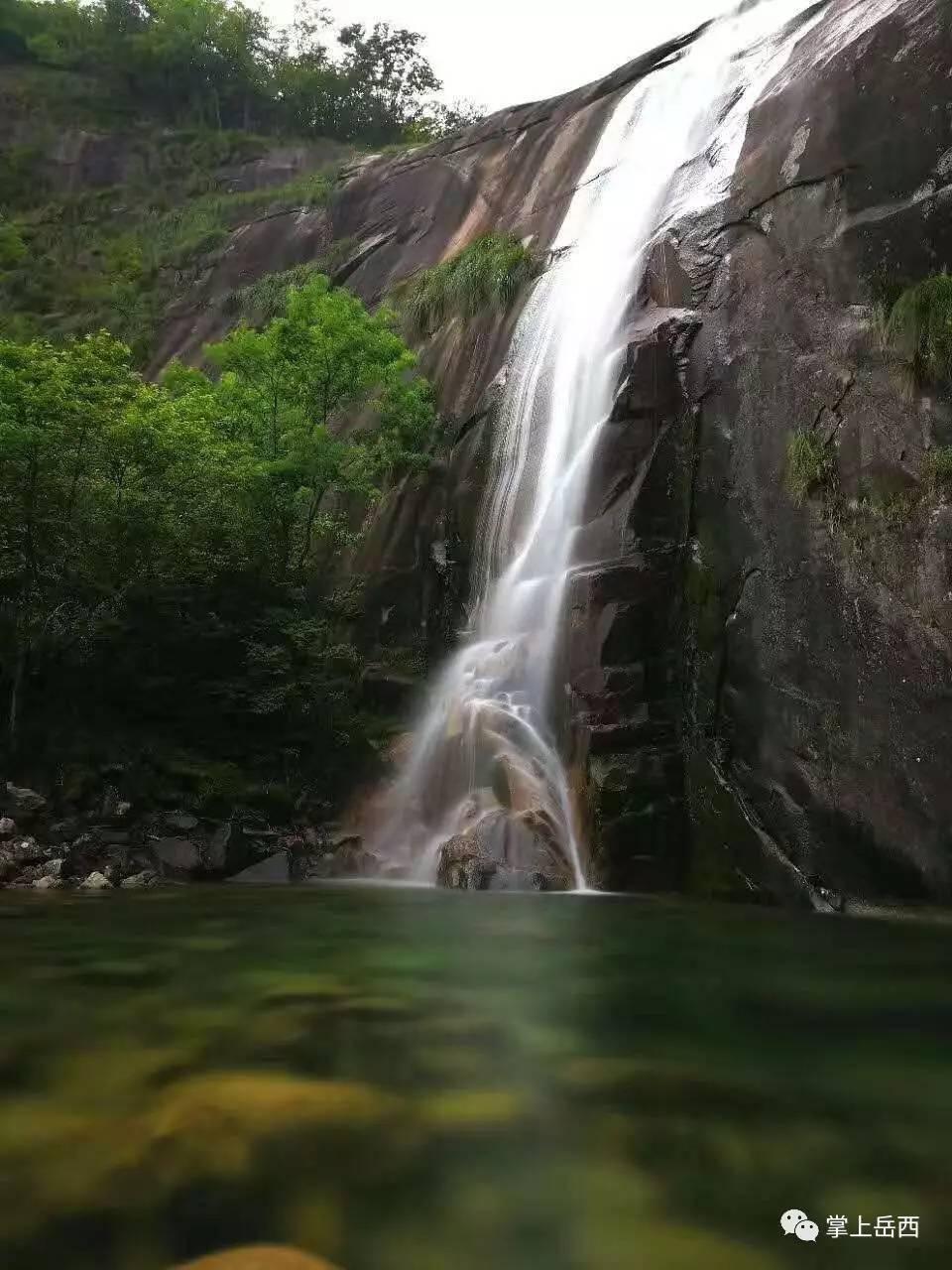 小僵尸射飞鸟