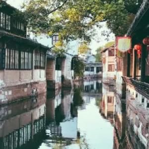 救援小白狼