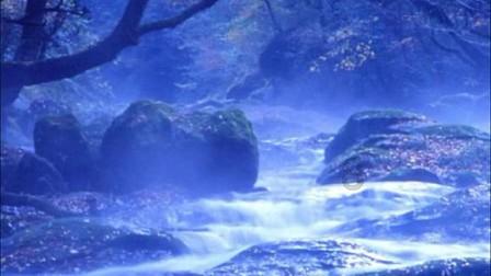 拿破仑：全面战争